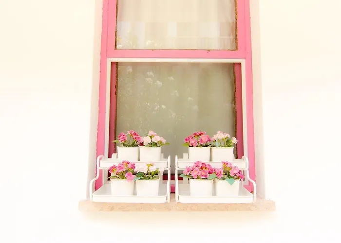 酒店 Kiraz Cicegi Butik