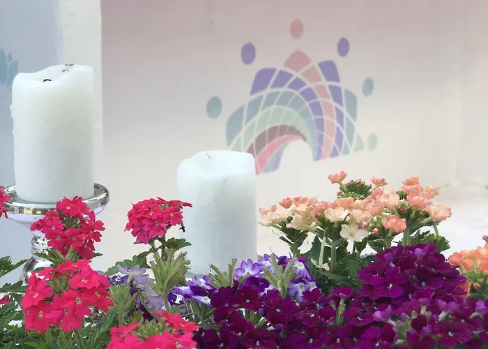 酒店 Kiraz Cicegi Butik *