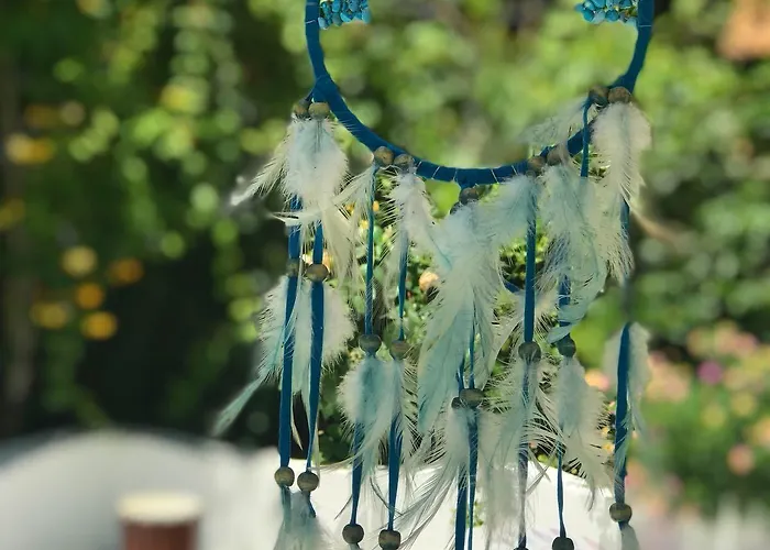 Kiraz Cicegi Butik 阿奇亚卡