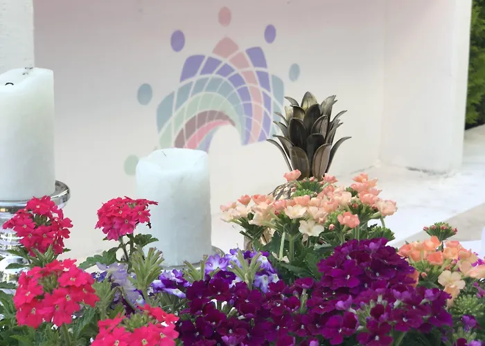 Kiraz Cicegi Butik * 阿奇亚卡