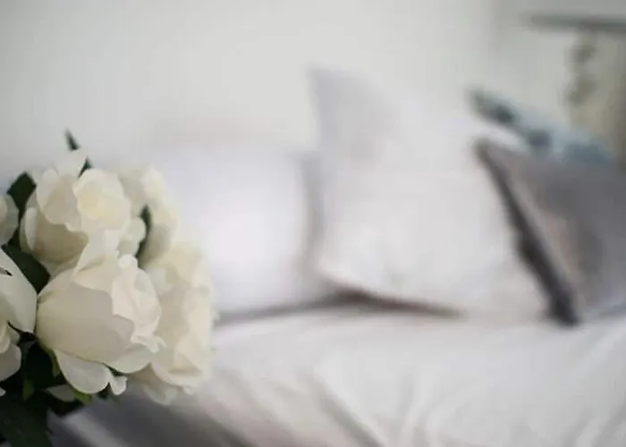 酒店 Kiraz Cicegi Butik