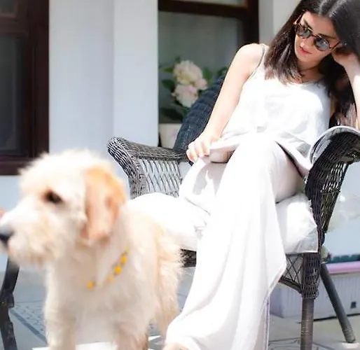 酒店 Kiraz Cicegi Butik